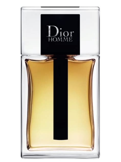 dior homme parfum pieper|dior homme 2020 fragrantica.